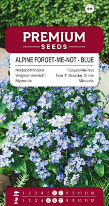 Vergissmeinnicht blau