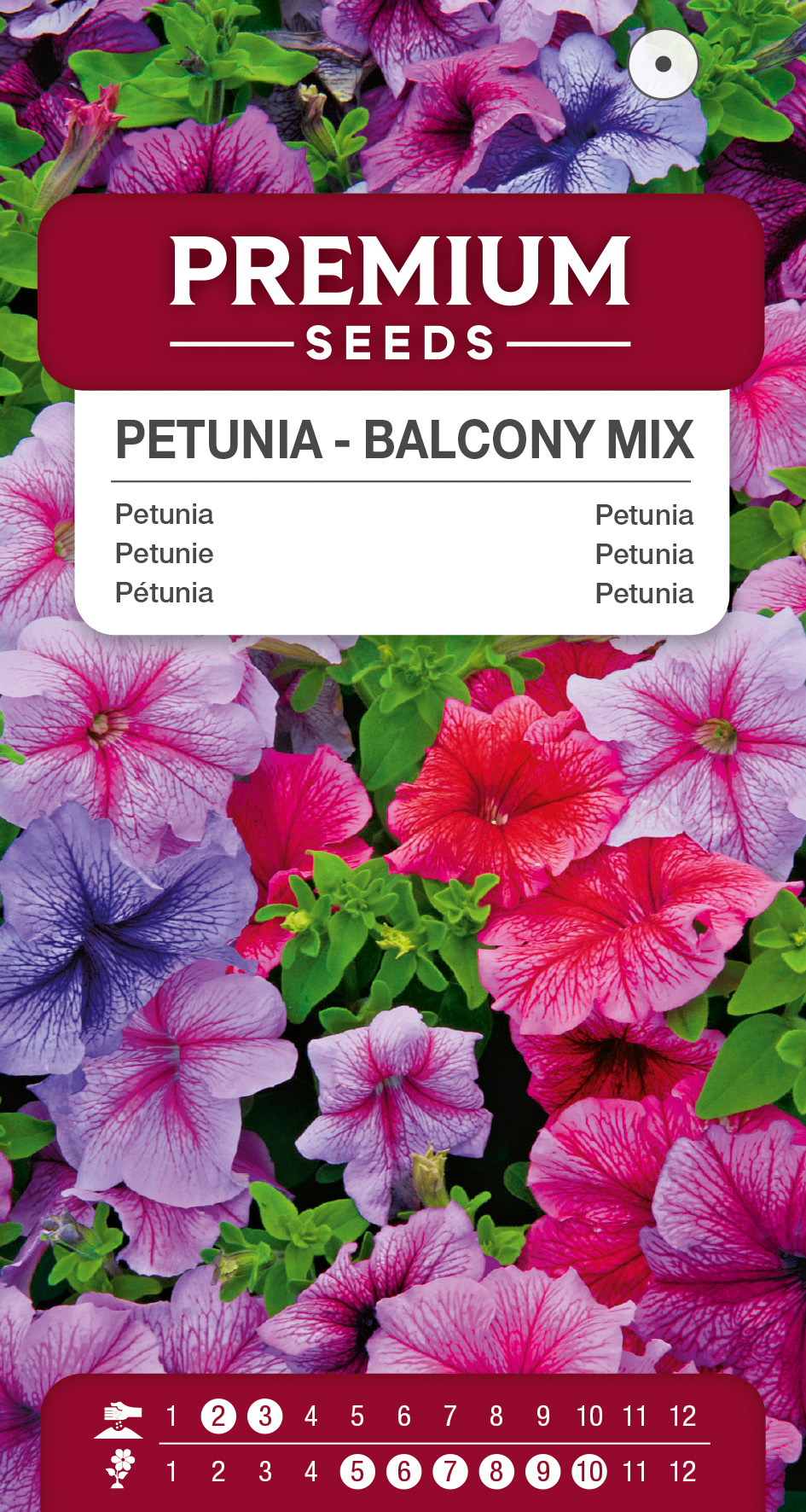 Pétunia pour balcon mélange