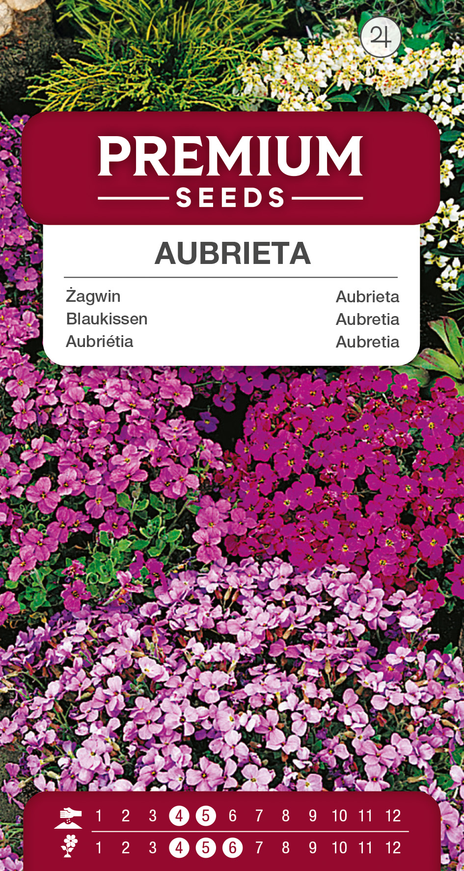 Aubriétia mélange