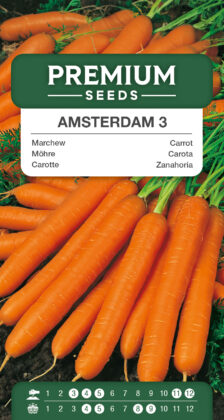 Carrot - Amsterdam 3
