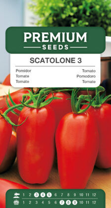 Tomato Scatolone 3