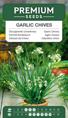 Aglio Cinese