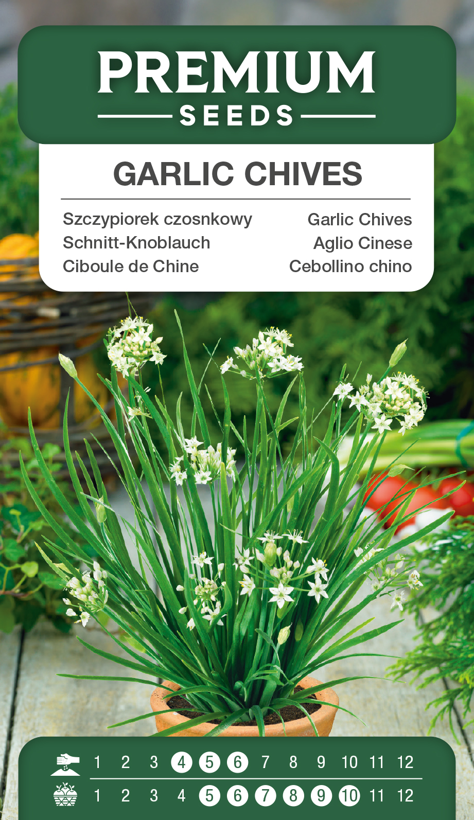 Ciboule de Chine