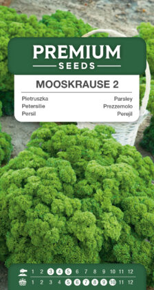Parsley Mooskrause 2
