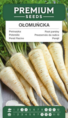 Prezzemolo Ołomuńcka