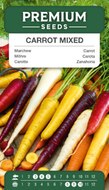 Carrot - mix of colorful varieties