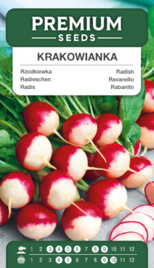 Rabanito Krakowianka