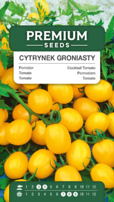 Tomate CITRUS GRAPE ("Cytrynek Groniasty")