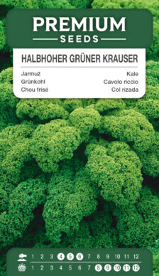 Kale Halbhoher grüner Krauser